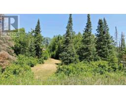 Pt 1 23r-14945 Snake Byway, Sioux Narrows Nestor Falls, ON P0X1N0 Photo 7