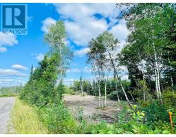 Villeneuve Road Ne, Kenora, ON P9N0B9 Photo 13