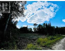 Villeneuve Road Ne, Kenora, ON P9N0B9 Photo 9