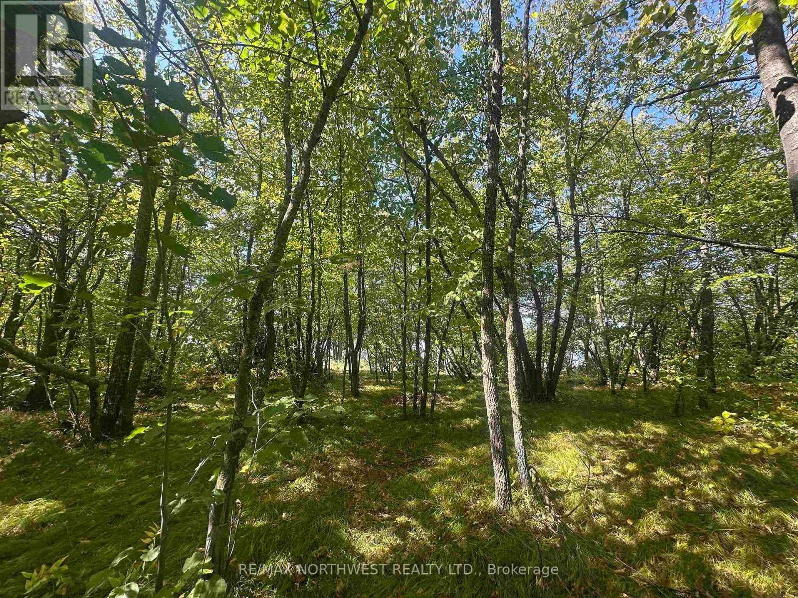 PTS 1,5,6 DORION ISLAND LAKE OF THE WOODS - 30