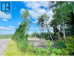 Villeneuve Road Se, Kenora, ON P9N0B9 Photo 7