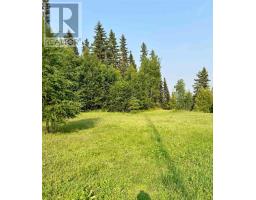 428 Eagle Nest Road, Greenstone, ON P0T2H0 Photo 20