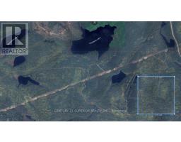 Pcl 10264 Stirling Township, Thunder Bay Remote Area, ON P0T1K0 Photo 6