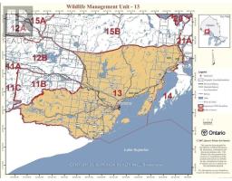 Pcl 10264 Stirling Township, Thunder Bay Remote Area, ON P0T1K0 Photo 11