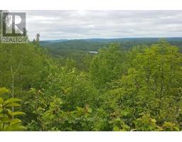 Pcl 6947 Forbes Township, Thunder Bay Remote Area, ON P0T1X0 Photo 13