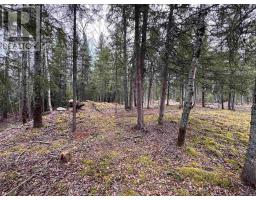1,2,4,5 Bennett Drive /mcmanus Street, Red Lake, ON P0V1C0 Photo 6