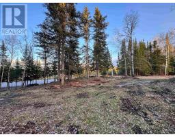 1,2,4,5 Bennett Drive /mcmanus Street, Red Lake, ON P0V1C0 Photo 8