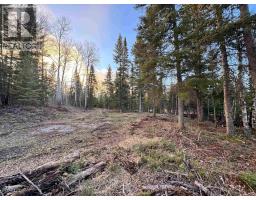 1,2,4,5 Bennett Drive /mcmanus Street, Red Lake, ON P0V1C0 Photo 11