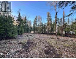 1,2,4,5 Bennett Drive /mcmanus Street, Red Lake, ON P0V1C0 Photo 10