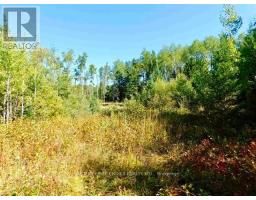0 Chavall Road, Machin, ON P8N2E0 Photo 24