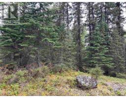 Lot 5 Eagle Bay Road, Kenora, ON P9N4L3 Photo 17