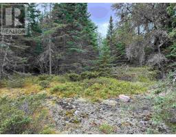 Lot 5 Eagle Bay Road, Kenora, ON P9N4L3 Photo 12