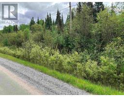 Lot 5 Eagle Bay Road, Kenora, ON P9N4L3 Photo 9