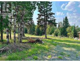 436 Mellick Avenue, Kenora, ON P9N0C8 Photo 8