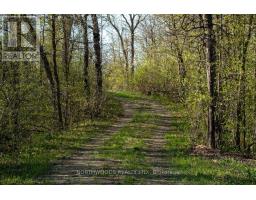 Lot 3 Ivall Drive, Rainy River Remote Area, ON P0W1L0 Photo 34