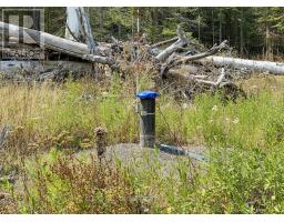115 Golf Course Road, Nipigon, ON P0T2J0 Photo 38