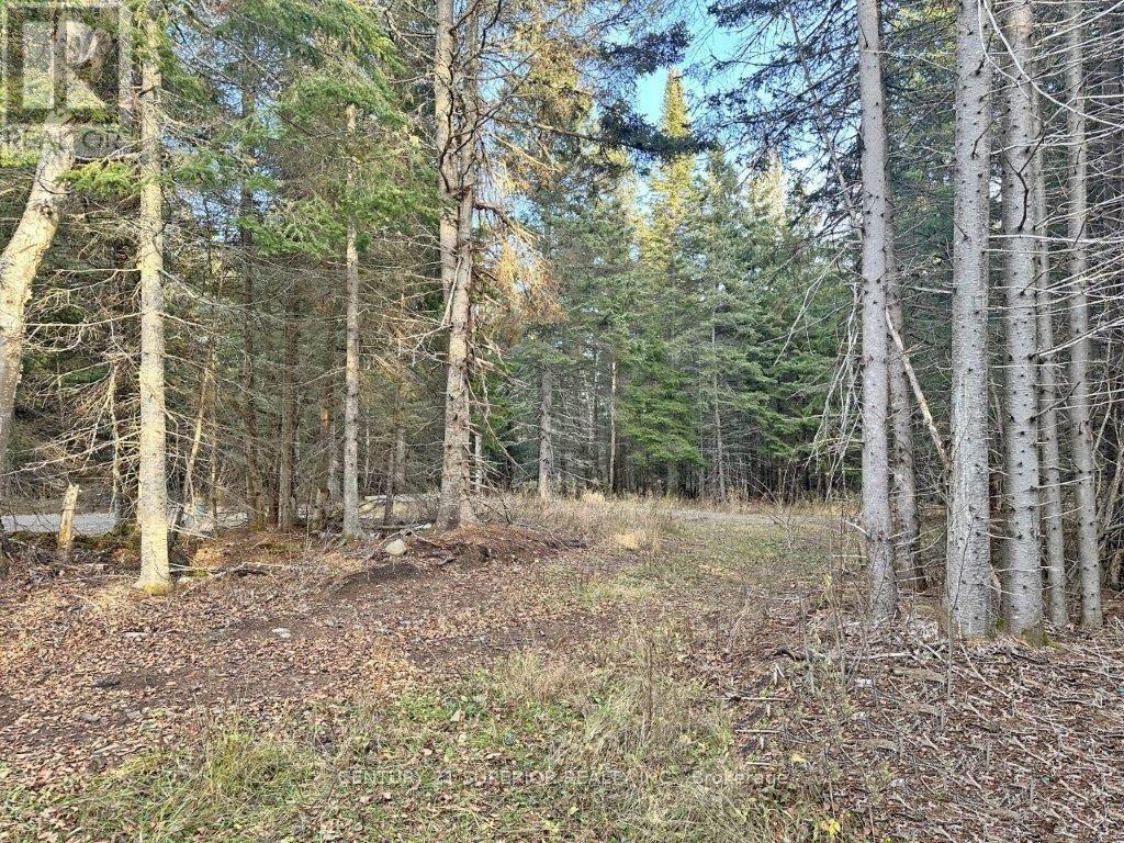115 GOLF COURSE ROAD - Image 41