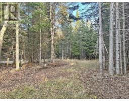 115 Golf Course Road, Nipigon, ON P0T2J0 Photo 41