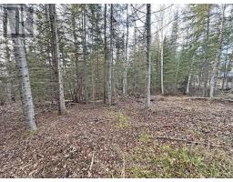 115 Golf Course Road, Nipigon, ON P0T2J0 Photo 40