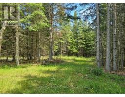 115 Golf Course Road, Nipigon, ON P0T2J0 Photo 46