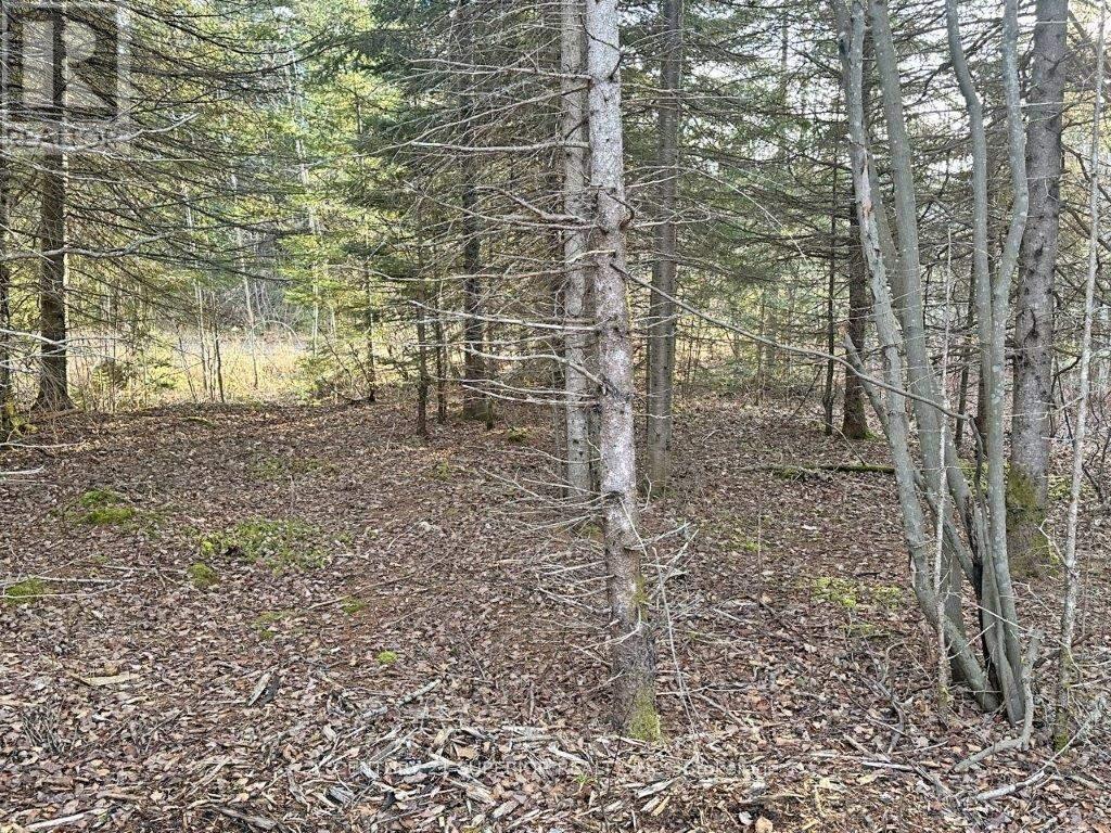 115 GOLF COURSE ROAD - Image 42