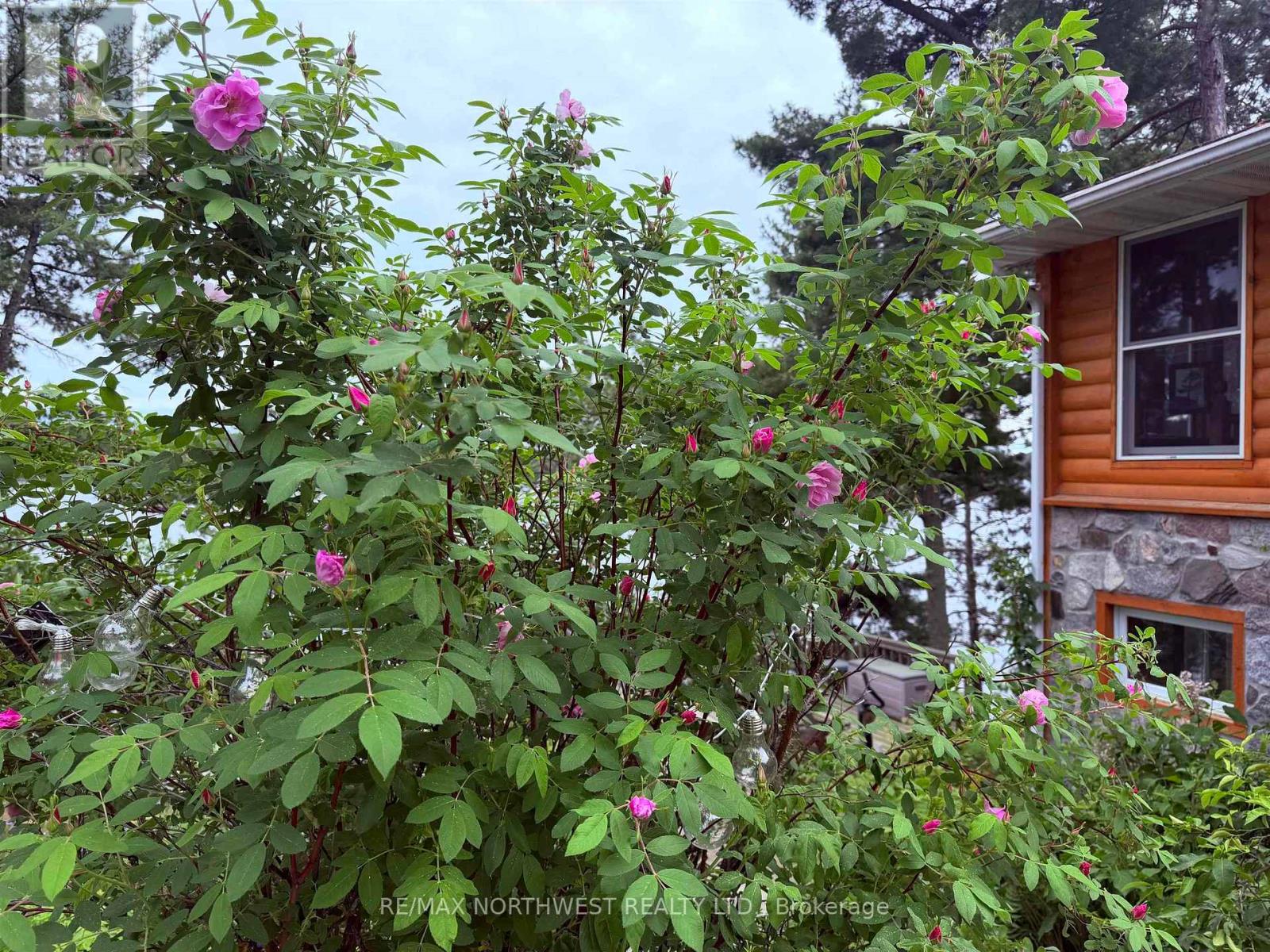 543A REEF POINT ROAD - Image 39