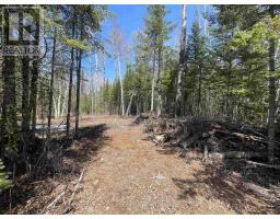 351 Thunder Lake Road, Dryden, ON P8N2Y4 Photo 6