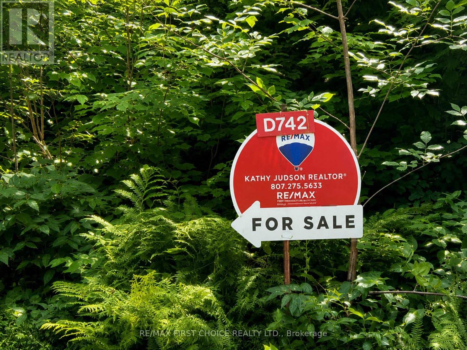 D742 DAM ROAD - Image 19