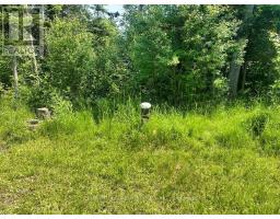 303 Loon Lake Road W, Shuniah, ON P0T2M0 Photo 43