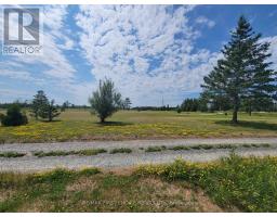 1611 Hwy 11/71, Alberton, ON P9A3M2 Photo 26