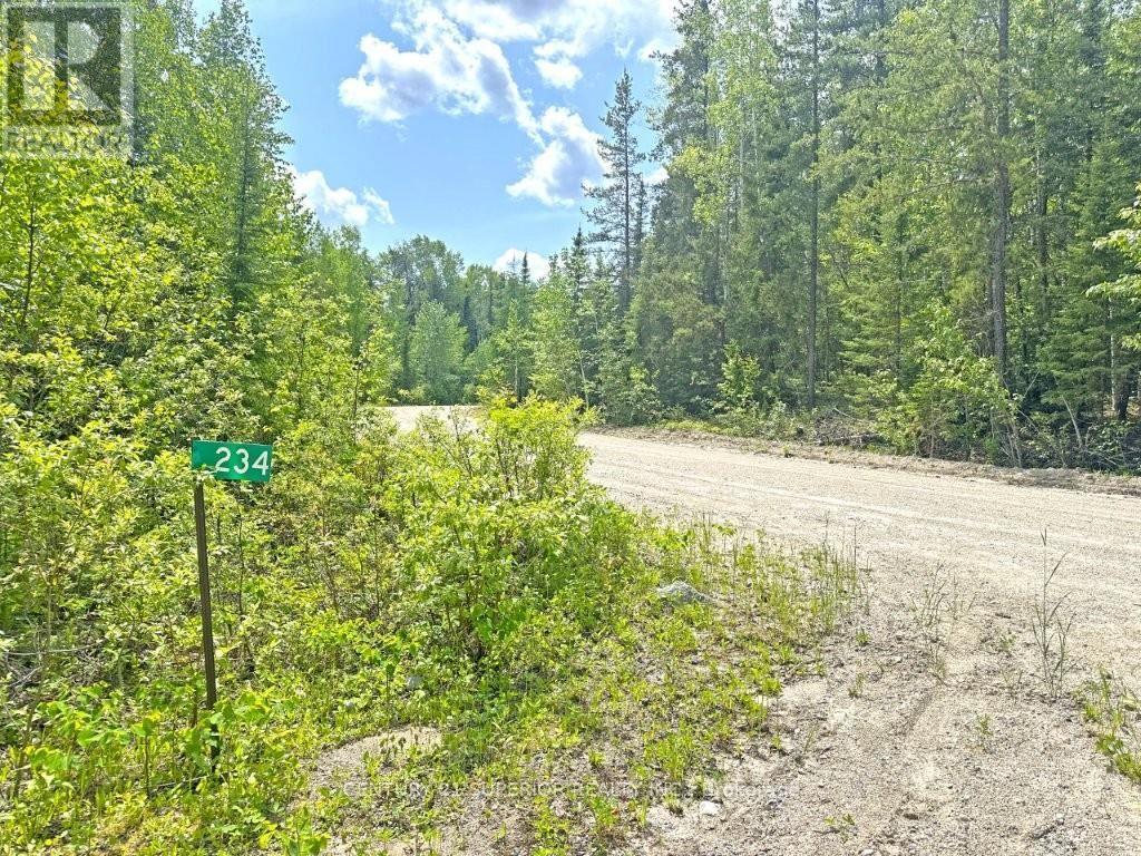 234 EAGLE NEST ROAD - 50