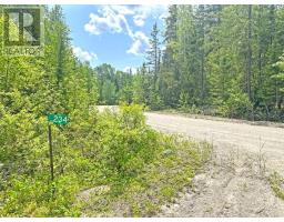 234 Eagle Nest Road, Greenstone, ON P0T2H0 Photo 50