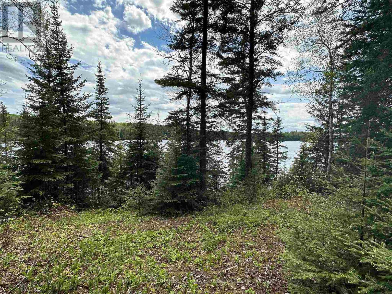 Pt 1 & 3 Snib, Red Lake (TB-701), Ontario, P0V2M0, Red Lake (TB-701), Ontario — photo 2 of 5