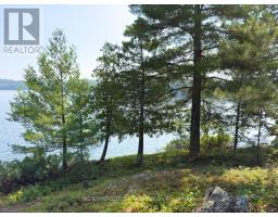 36 Heronry Lake Road South, Sioux Narrows Nestor Falls, ON P0X1K0 Photo 48