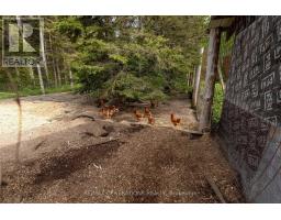 610 Road No. 5 S, Shuniah, ON P0T2M0 Photo 18