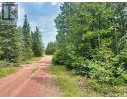 Pcl 9169 Cavern Lake Road, Dorion, ON P0T1K0 Photo 19