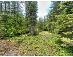 Pcl 9169 Cavern Lake Road, Dorion, ON P0T1K0 Photo 25