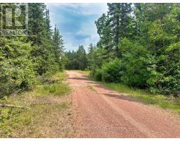 Pcl 9169 Cavern Lake Road, Dorion, ON P0T1K0 Photo 18