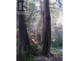 Pcl 9169 Cavern Lake Road, Dorion, ON P0T1K0 Photo 36