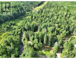 358 Hwy 11/17, Nipigon, ON P0T2J0 Photo 29