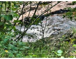358 Hwy 11/17, Nipigon, ON P0T2J0 Photo 46