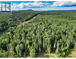358 Hwy 11/17, Nipigon, ON P0T2J0 Photo 48