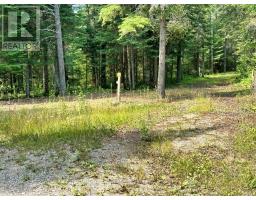358 Hwy 11/17, Nipigon, ON P0T2J0 Photo 33