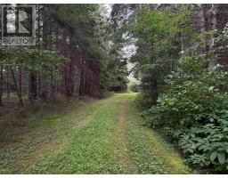 Lt 11 + 12 Con 1 Dorion, Thunder Bay Remote Area, ON P0T1K0 Photo 19