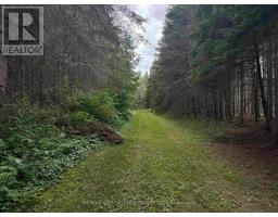Lt 11 + 12 Con 1 Dorion, Thunder Bay Remote Area, ON P0T1K0 Photo 15