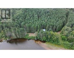 Lt 11 + 12 Con 1 Dorion, Thunder Bay Remote Area, ON P0T1K0 Photo 8