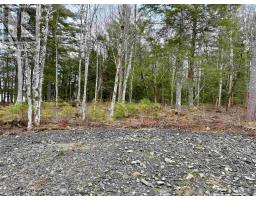 Lot 201 No 8 Highway, Milton, NS B0T1K0 Photo 7