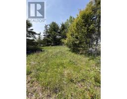 9260 N0. 2 Great Village Highway, Great Village, NS B0M1L0 Photo 10