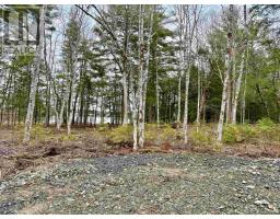 Lot 201 No 8 Highway, Milton, NS B0T1K0 Photo 6