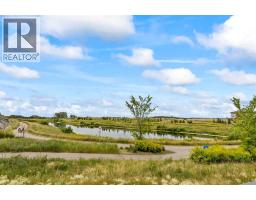 134 Belmont Street Sw, Calgary, AB T2X5X5 Photo 41